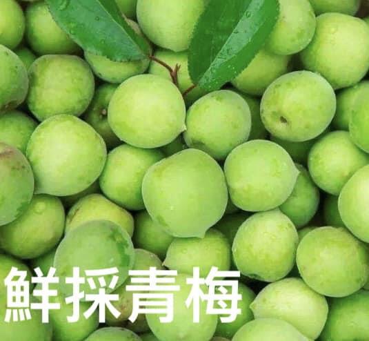2026那瑪夏的鮮採梅子開賣囉！